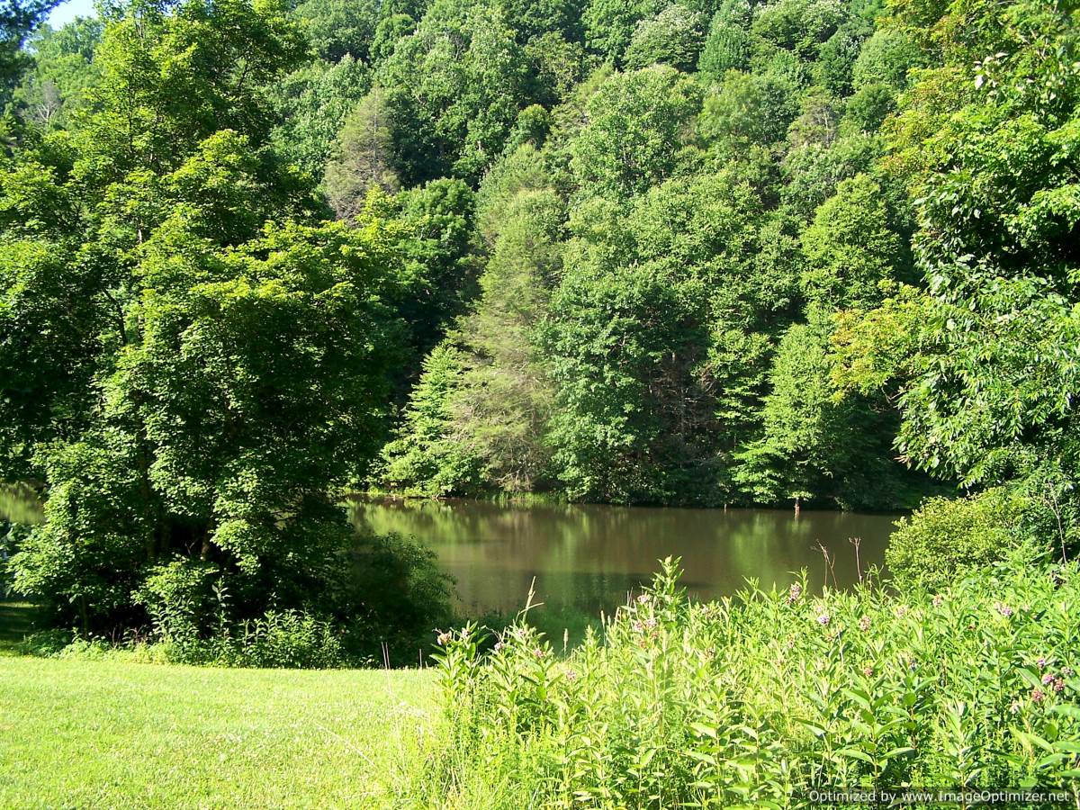 Beagle Ridge Herb Farm